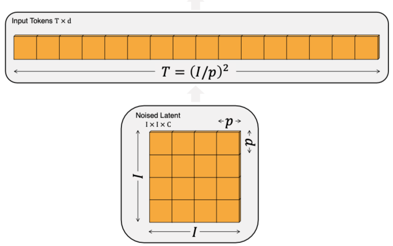 Patchify Visualization