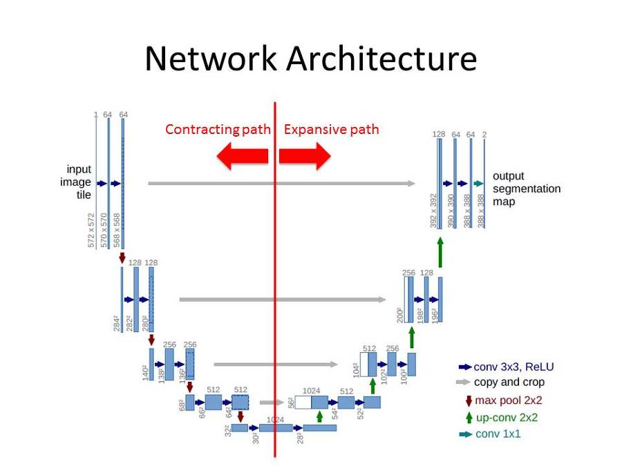 U-Net Structure